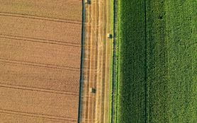 Aerial view of farmland meeting grassy field
