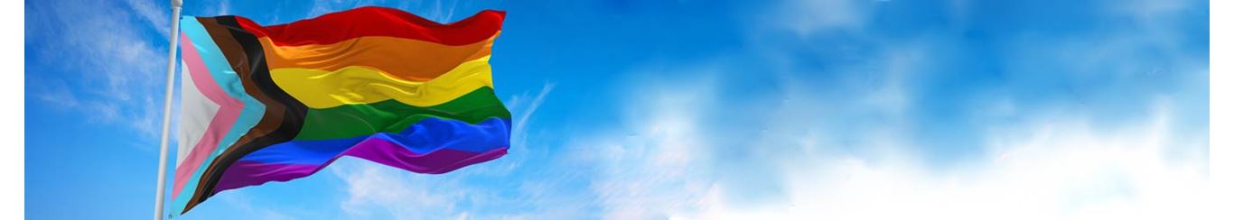 Banner image of pride flag against blue sky