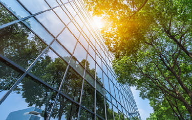 Trees and greenery reflecting from glass building