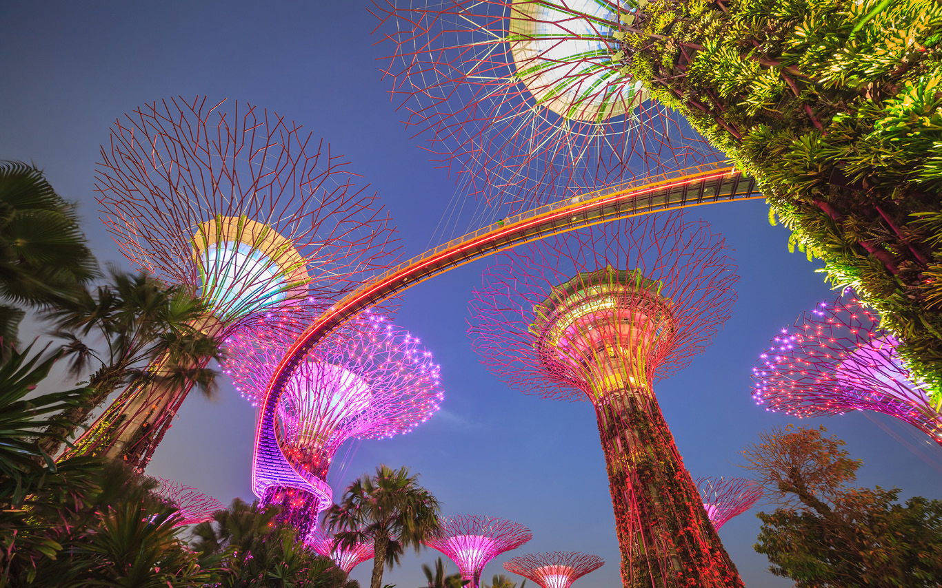 A panoramic view of Gardens by the Bay nature park in Singapore
