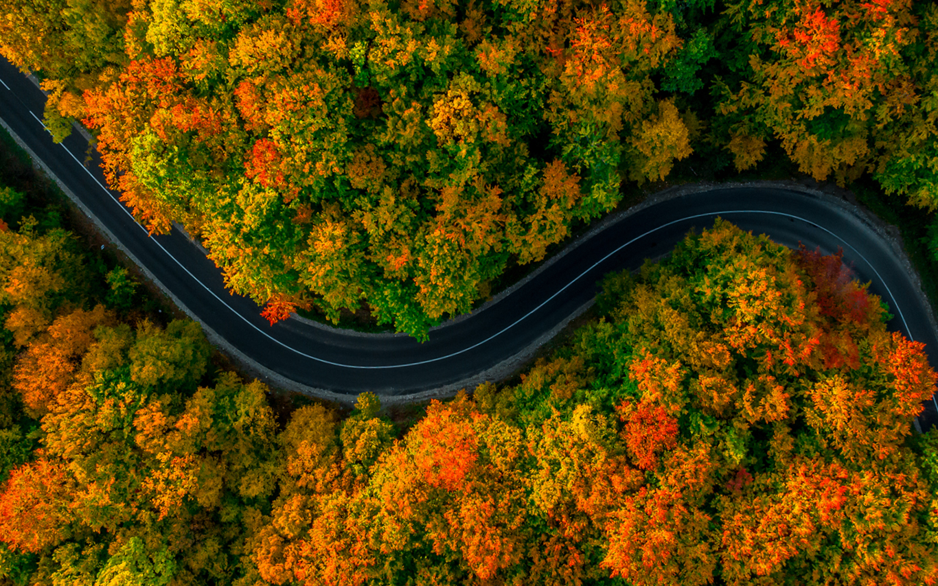 Bird's eye view of a road intertwining between green/orange trees