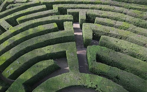 A maze made of hedging