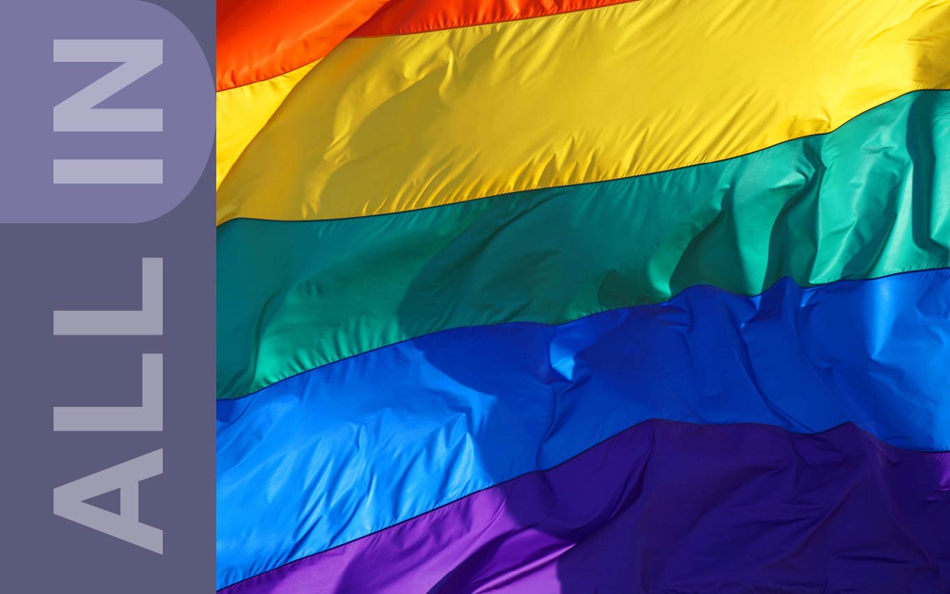 Image from All in campaign, pride flag