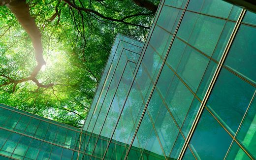 A modern glass office surrounded by trees and foliage