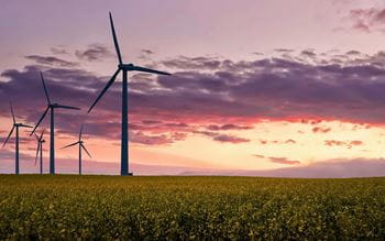 Wind turbines in a field at sunset