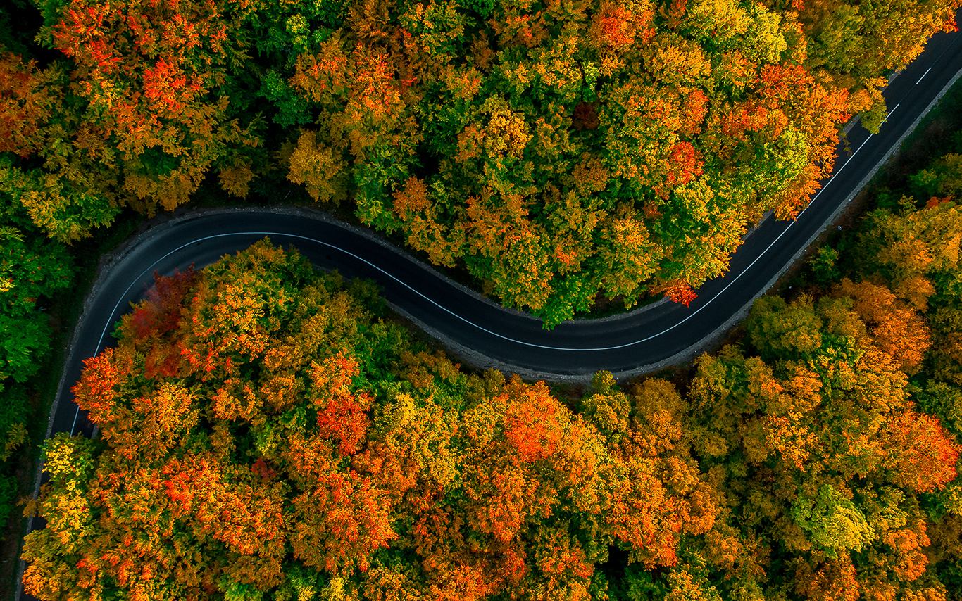 aerial image of weaving road through forest area