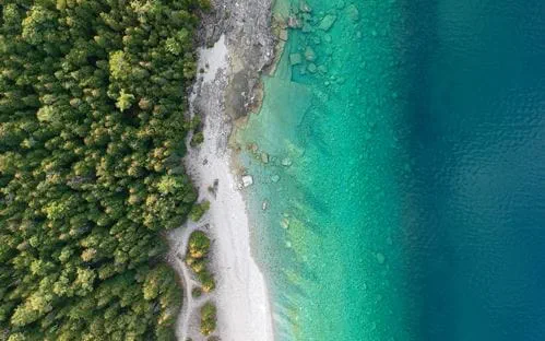 Bird's eye view of a tropical beach next to a forest