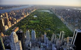 Central Park surrounded by buildings and New York city