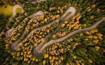 Aerial view of a bendy road winding through a forest