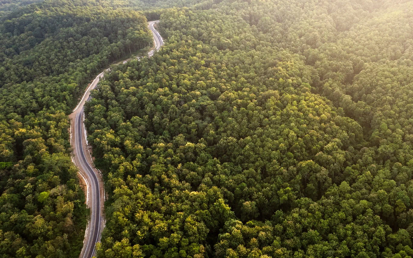 Road weaving through the middle of a large, green rainforest
