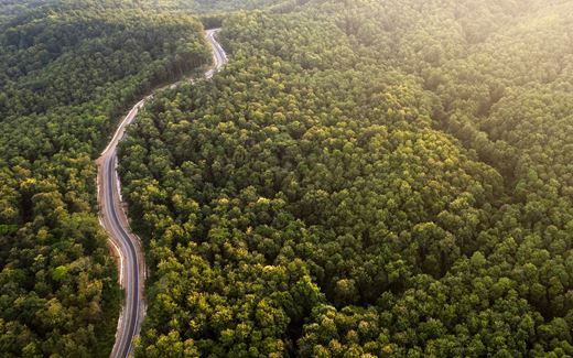 Road weaving through the middle of a large, green rainforest