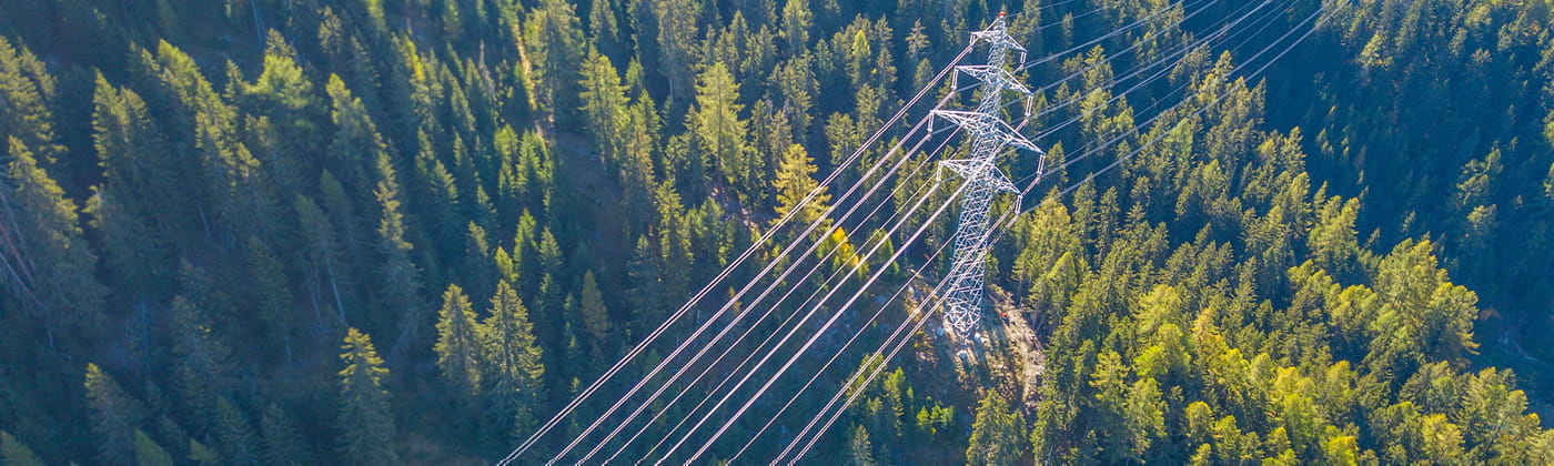 Electricity lines, running through a large green forest