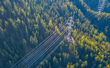 Electricity lines, running through a large green forest