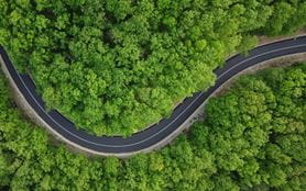 Aerial view of a road flowing through a forest