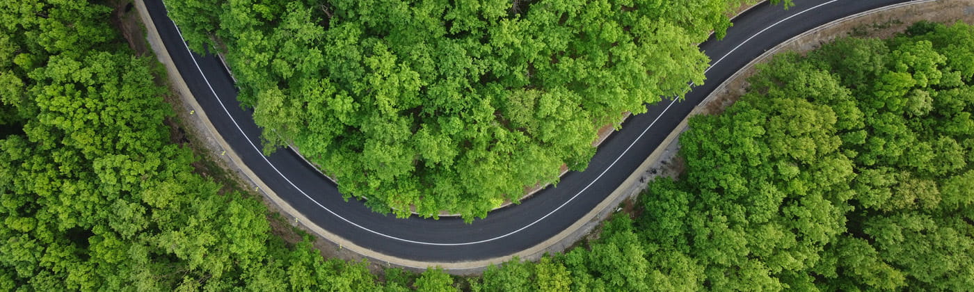 Aerial view of a road flowing through a forest
