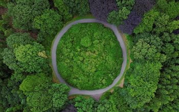Aerial view of a circular path surrounded by trees