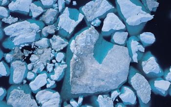 Blocks of ice