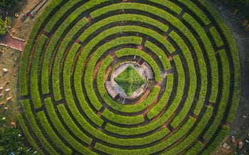 Aerial view of a circular maze