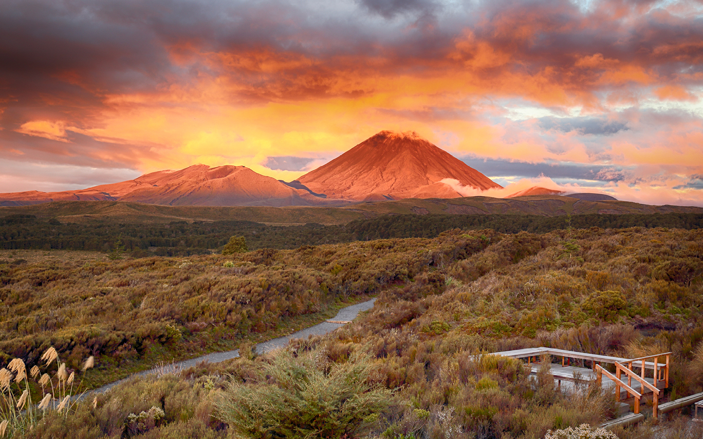 Shrublands in New Zealand with mountains and a stunning red sky in the background