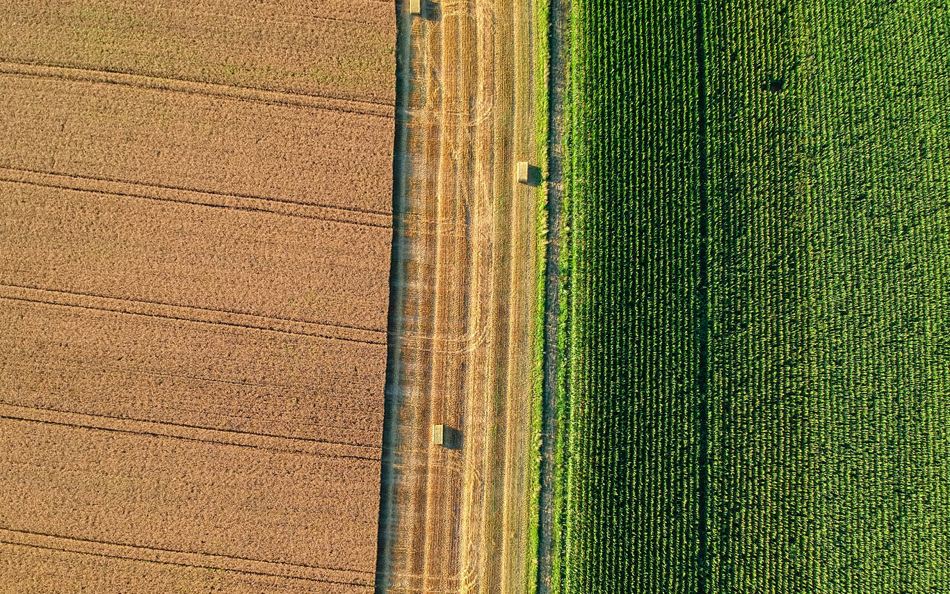 Aerial view of farmland meeting grassy field