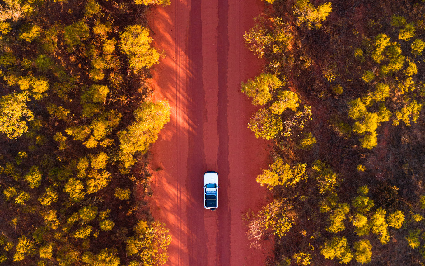 Car in forest