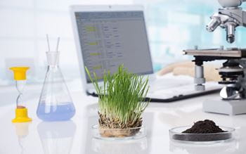 Science lab setting with plant, computer, flask and microscope