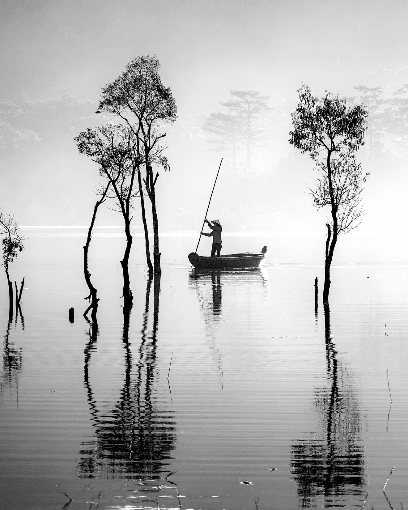 A traditional boatman sailing amongst trees in Vietnam