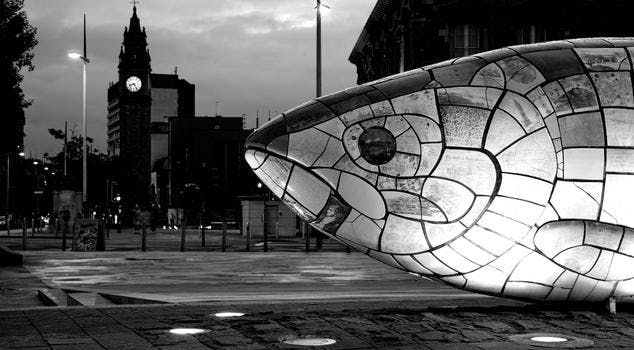 The Salmon of Knowledge, more commonly known in Belfast as the 'Big Fish'